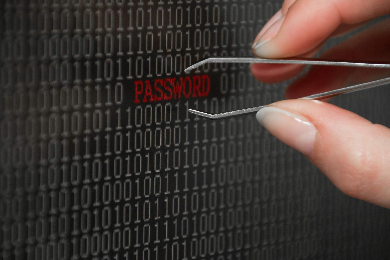 Foto: capturando una password